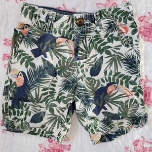 Crazy 8 tropical print adjustable waist shorts